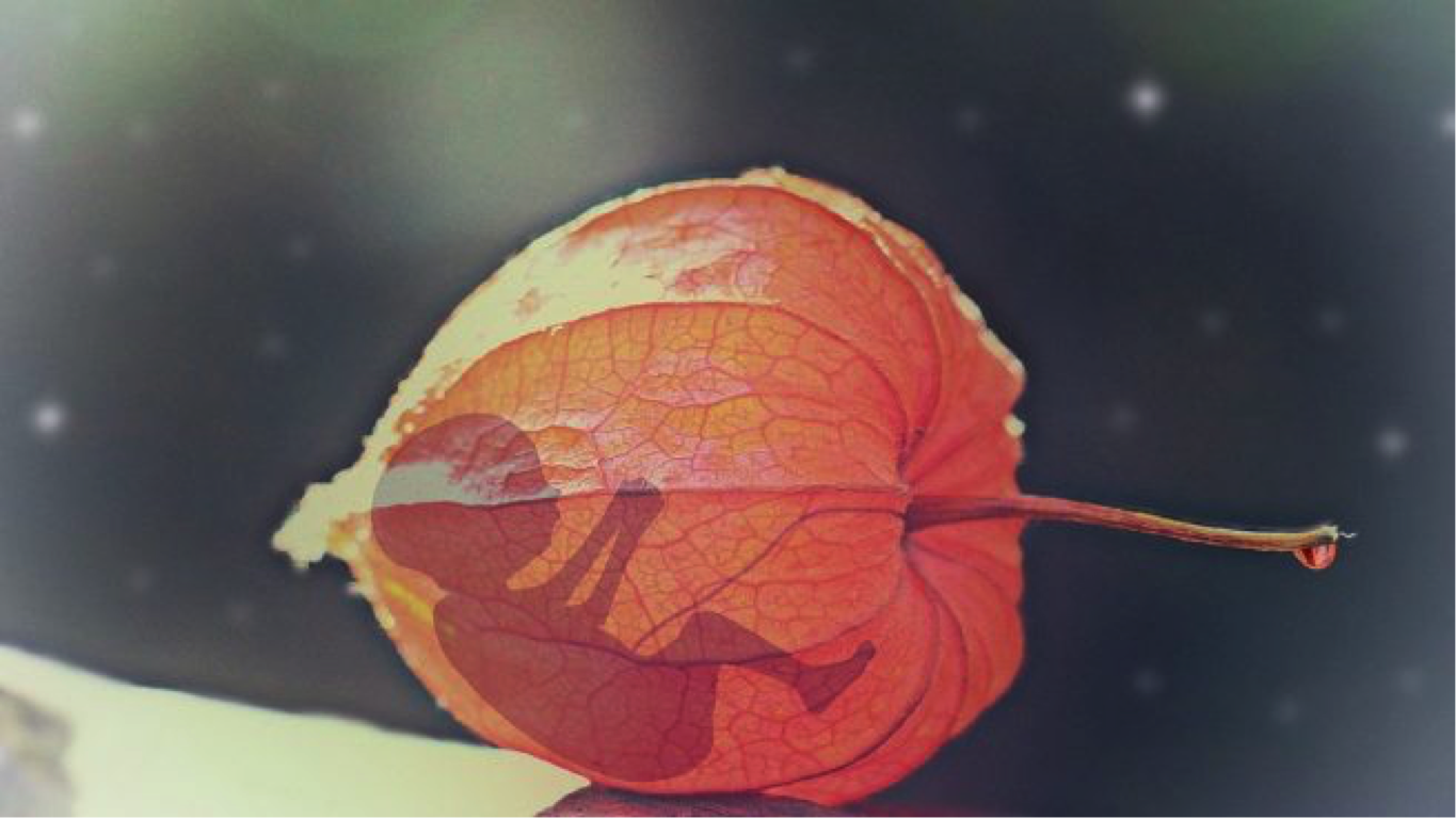 aborto-quirurgio-2 aborto-quirurgio