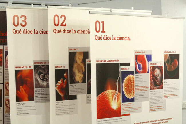 expovida Expovida