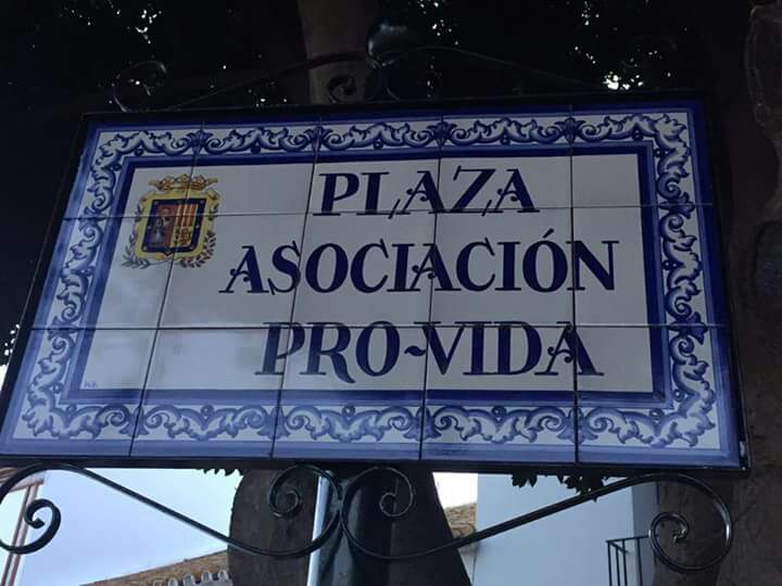 Plaza asociación provida