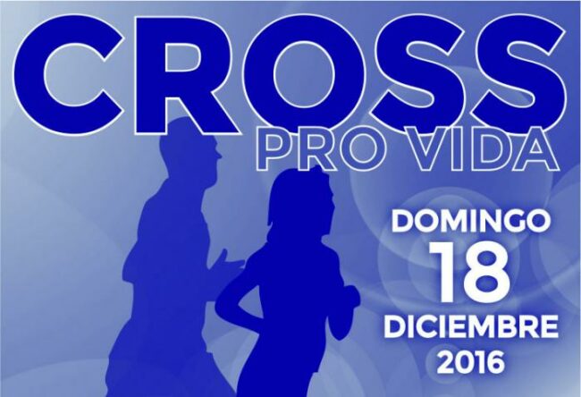 Cross provida